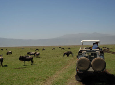 Ngorongoro Krater (Tansania)